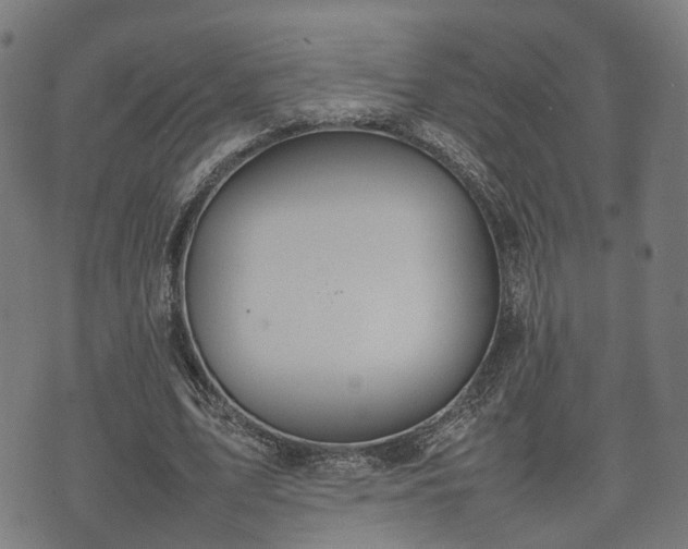 X0000074930583200609081328