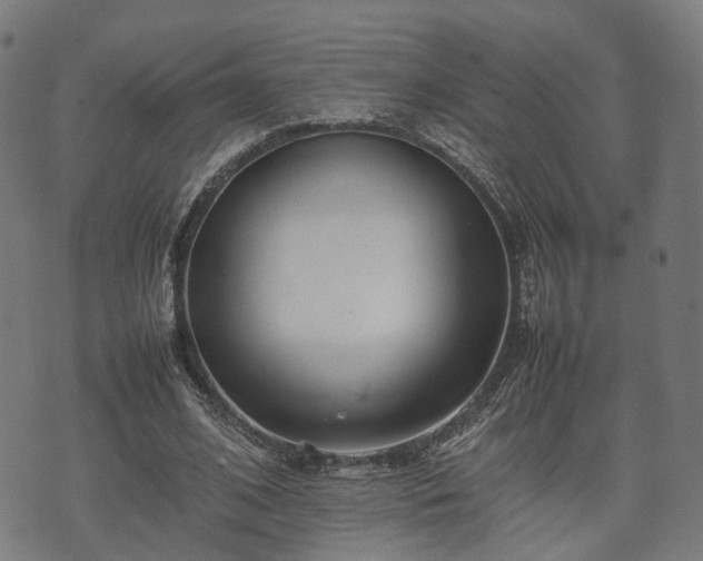 X0000074930584200609081328