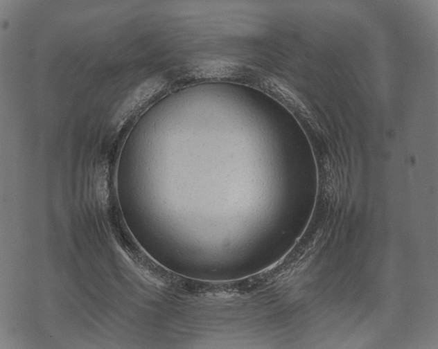 X0000074930586200609081328