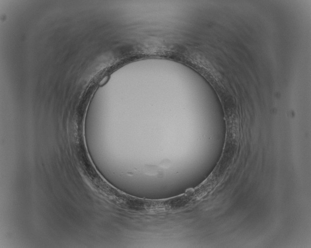 X0000074930587200609081328