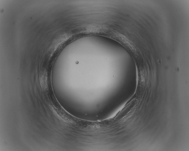 X0000074930588200609081328