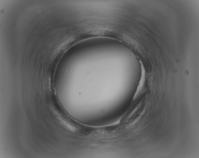 X0000074930589200609081328