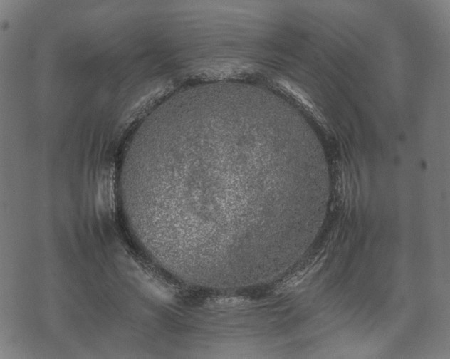 X0000074930590200609081328