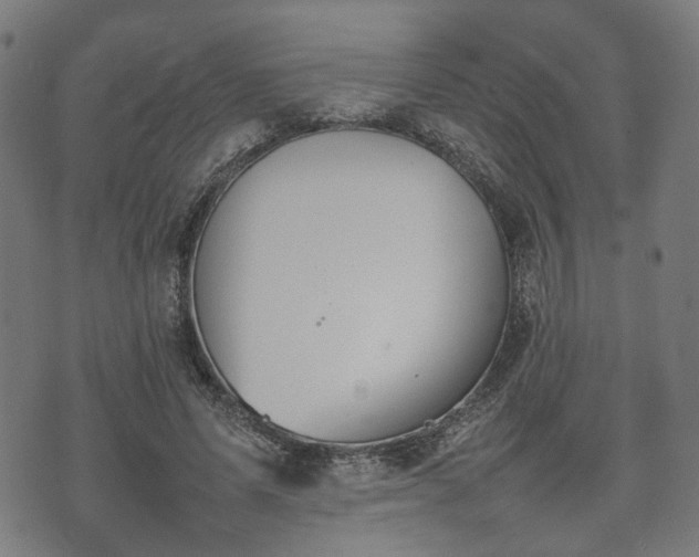 X0000074930591200609081328