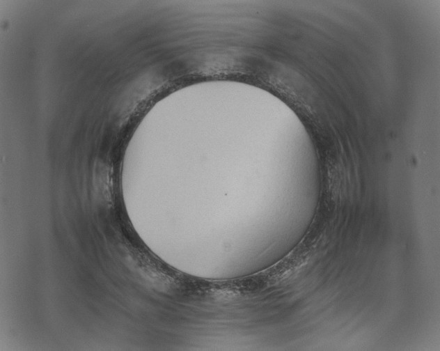 X0000074930592200609081328