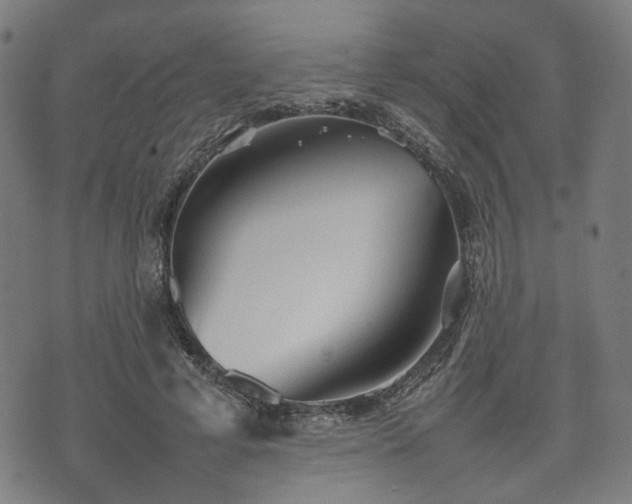 X0000074930593200609081328