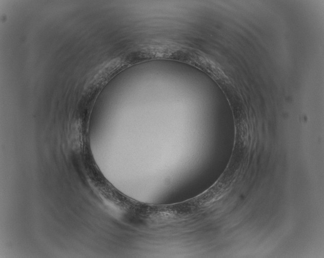 X0000074930594200609081328