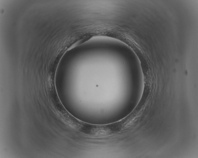 X0000074930597200609081328