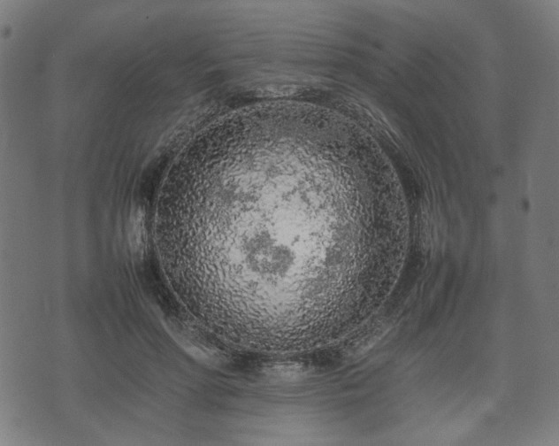 X0000074930598200609081328