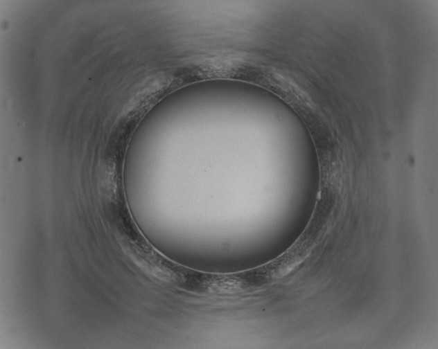 X0000074930599200609081328