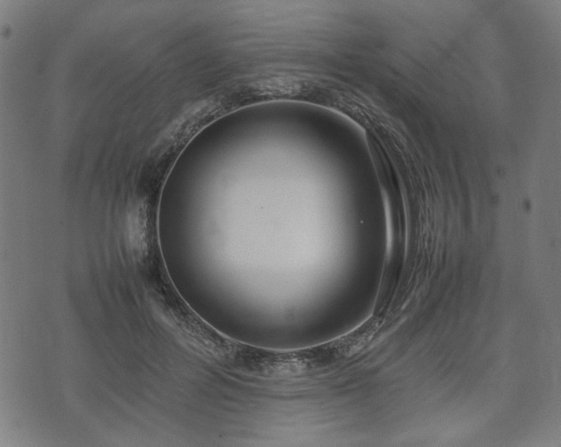 X0000074930600200609081328