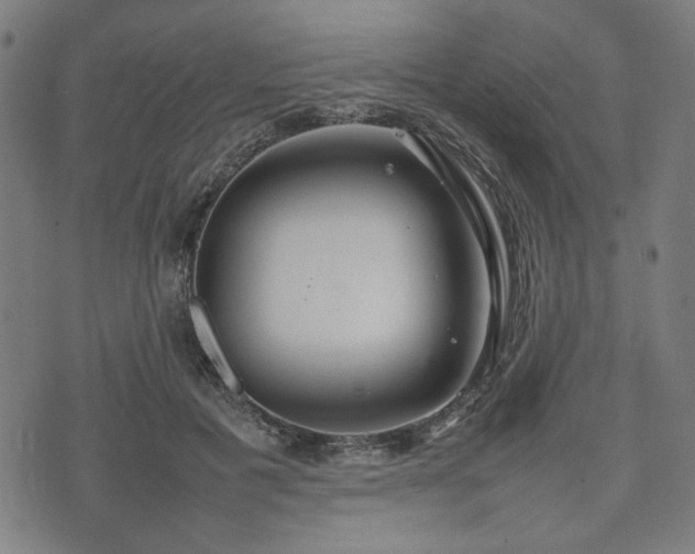 X0000074930601200609081328