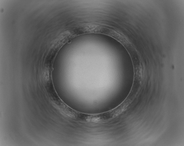 X0000074930602200609081328