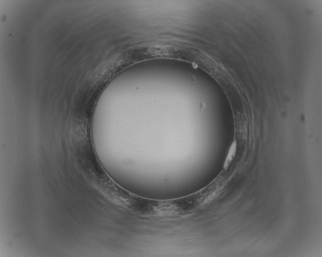 X0000074930603200609081327