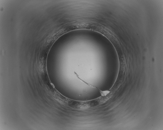 X0000074930604200609081327