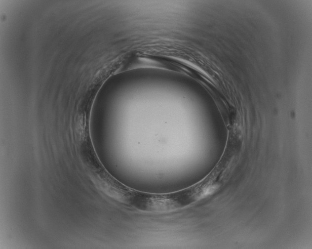 X0000074930605200609081327