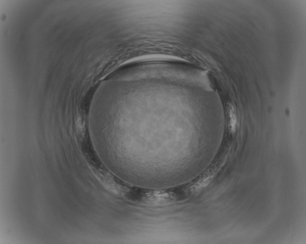 X0000074930607200609081327