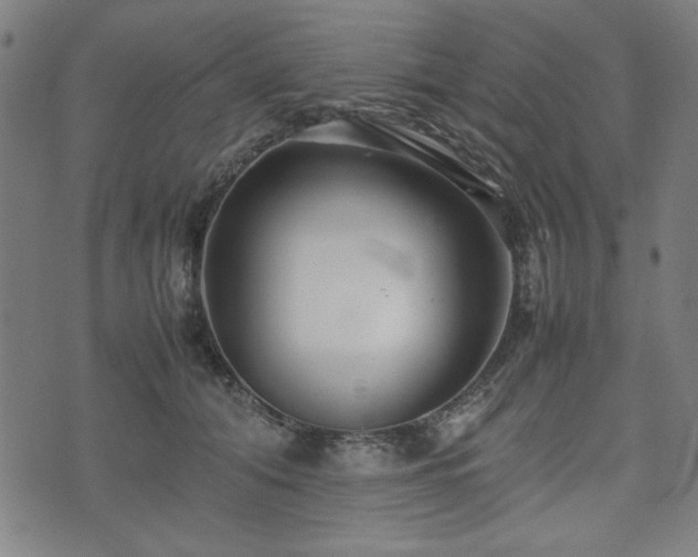 X0000074930608200609081327