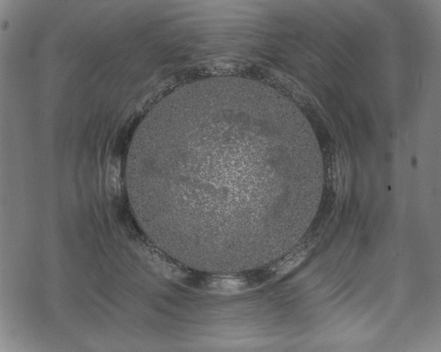 X0000074930610200609081327