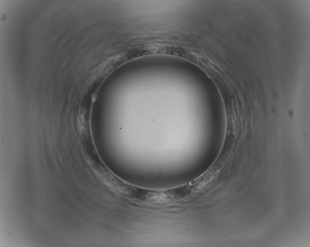 X0000074930611200609081327