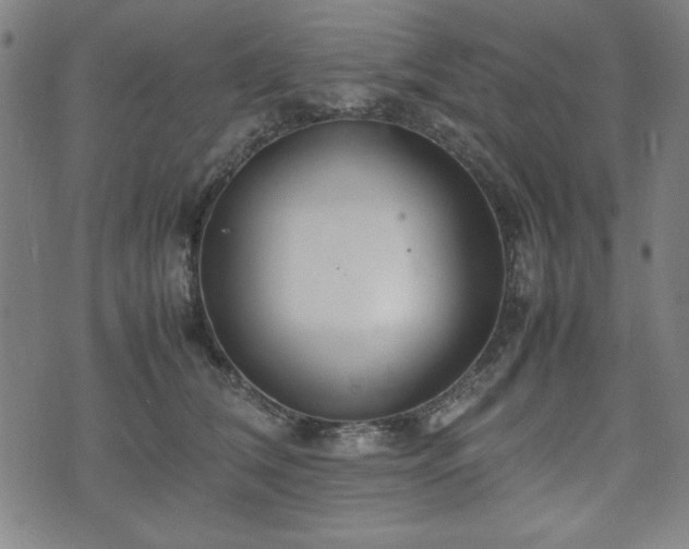 X0000074930612200609081327