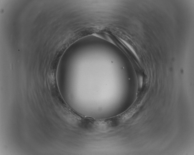 X0000074930613200609081327