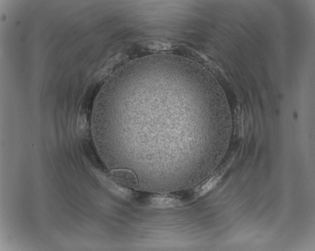 X0000074930614200609081327