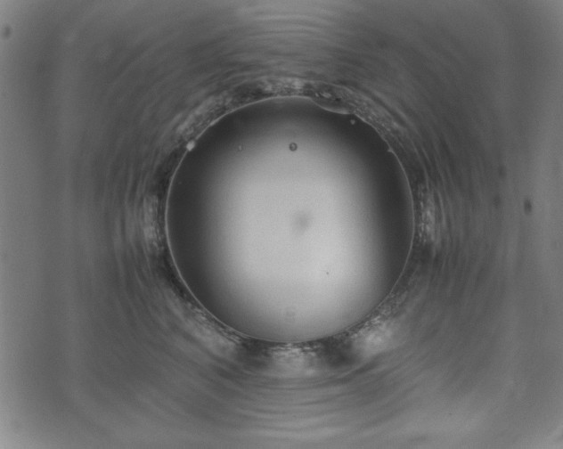 X0000074930616200609081327