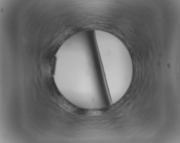 X0000074930617200609081327