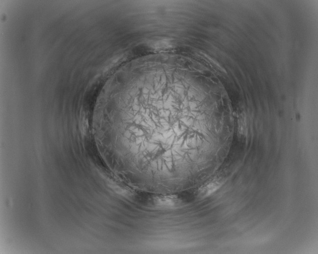 X0000074930618200609081327