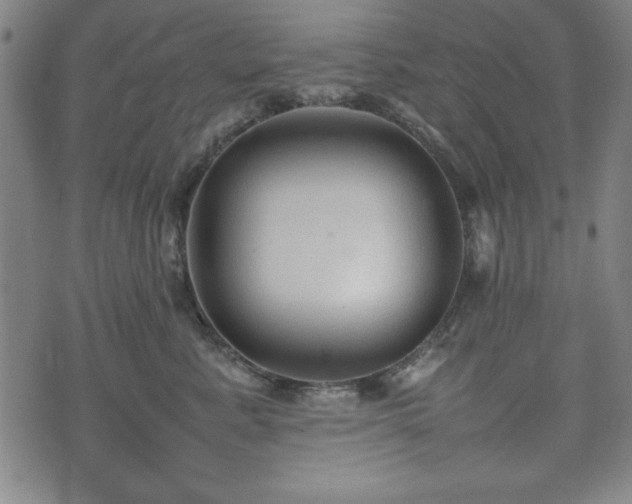 X0000074930619200609081327