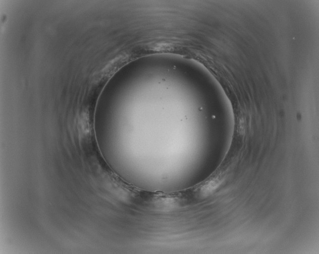 X0000074930620200609081327