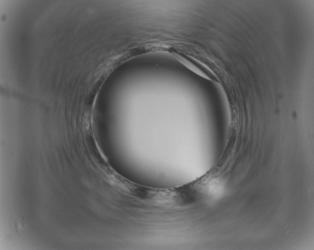 X0000074930621200609081327