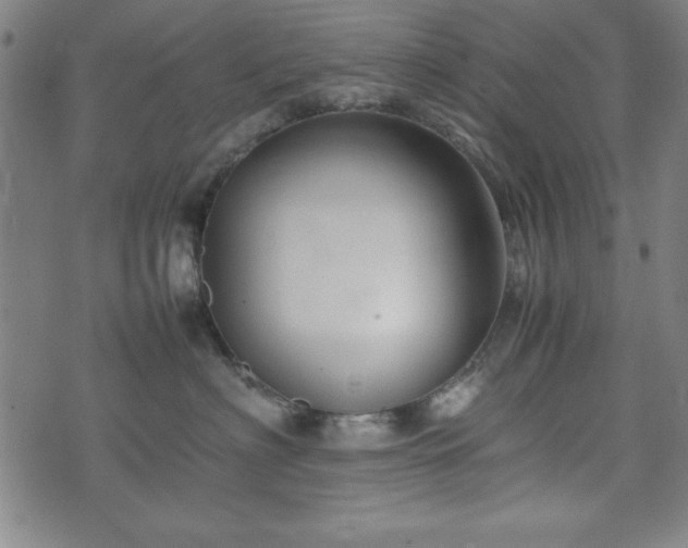 X0000074930622200609081327