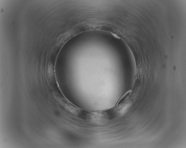 X0000074930623200609081327