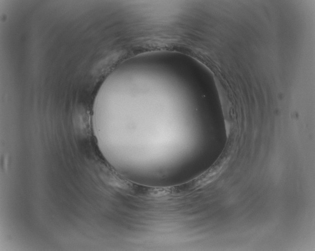 X0000074930624200609081327