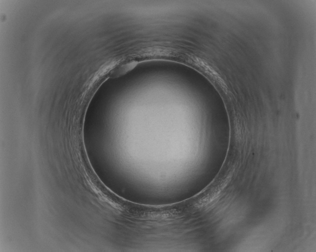 X0000074930625200609081326