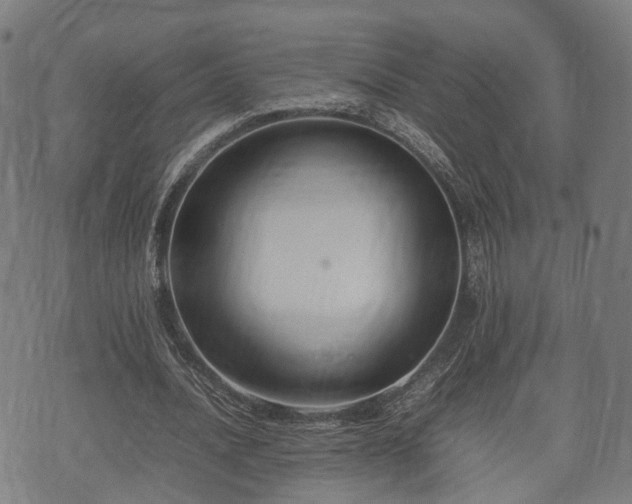 X0000074930628200609081326