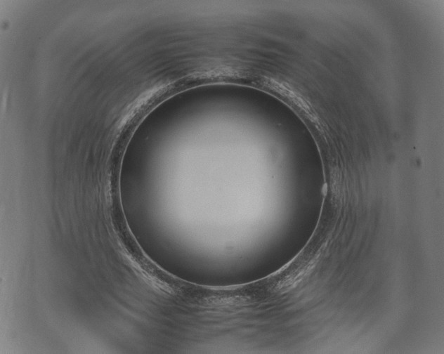 X0000074930629200609081326