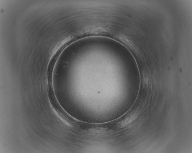 X0000074930630200609081326