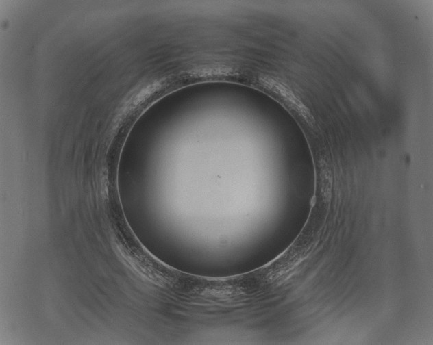 X0000074930631200609081326