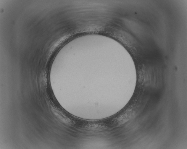 X0000074930632200609081326