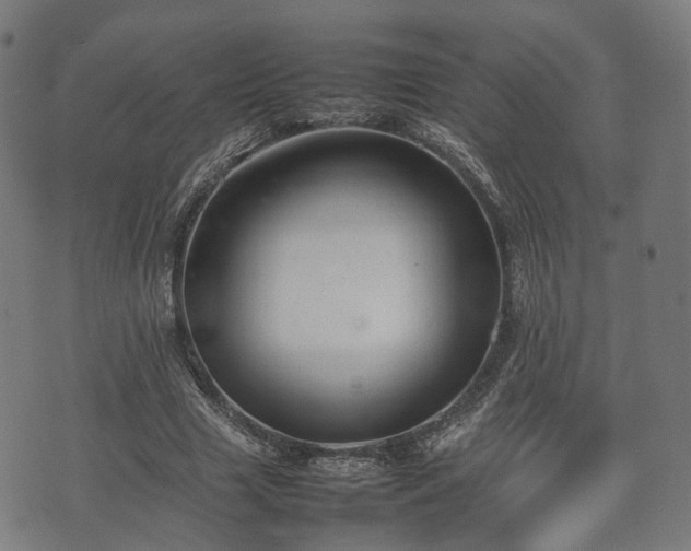 X0000074930633200609081327