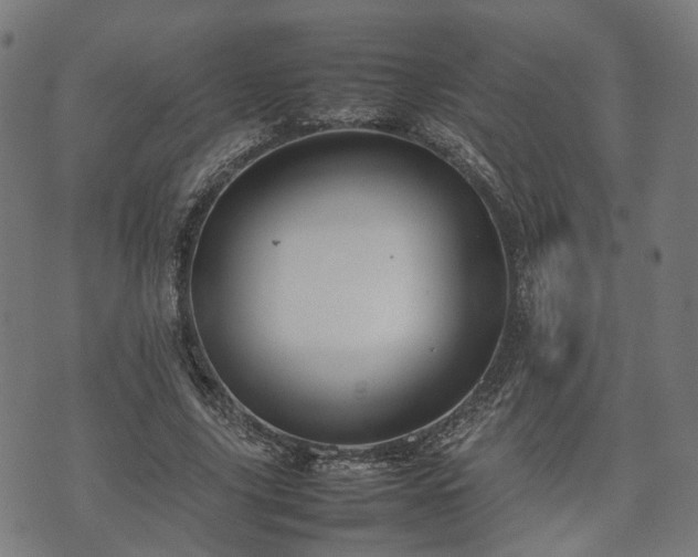 X0000074930635200609081327