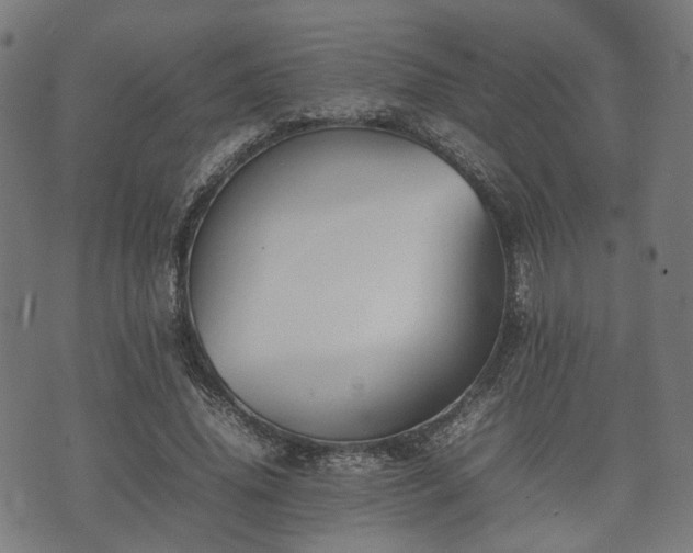 X0000074930636200609081327