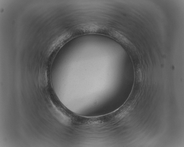 X0000074930638200609081327