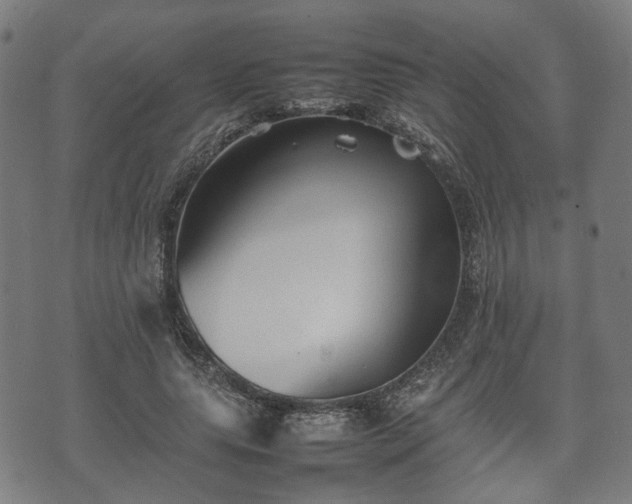 X0000074930639200609081327