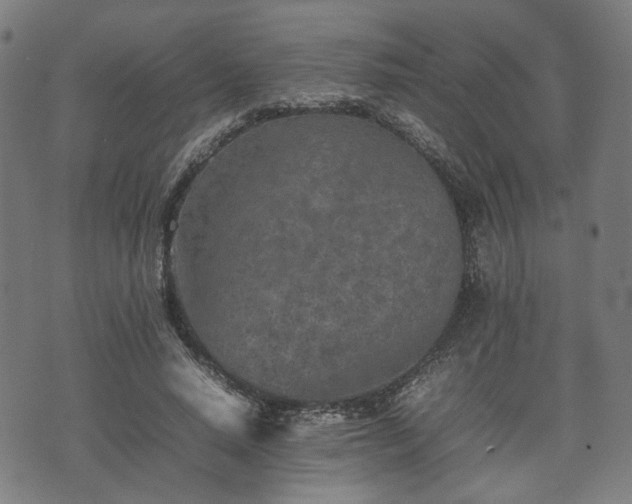 X0000074930640200609081327