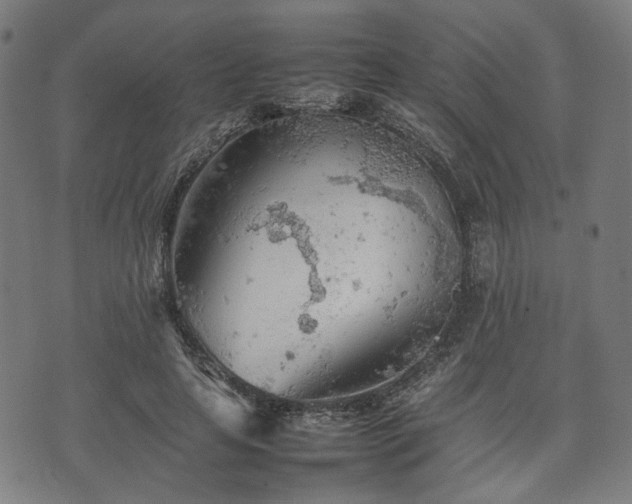 X0000074930641200609081327