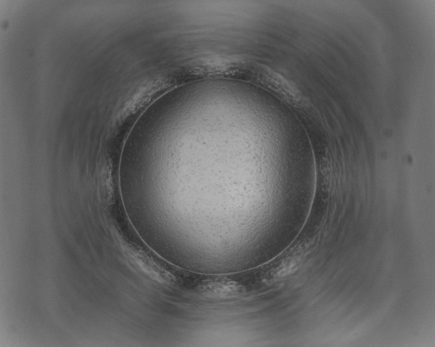 X0000074930642200609081327